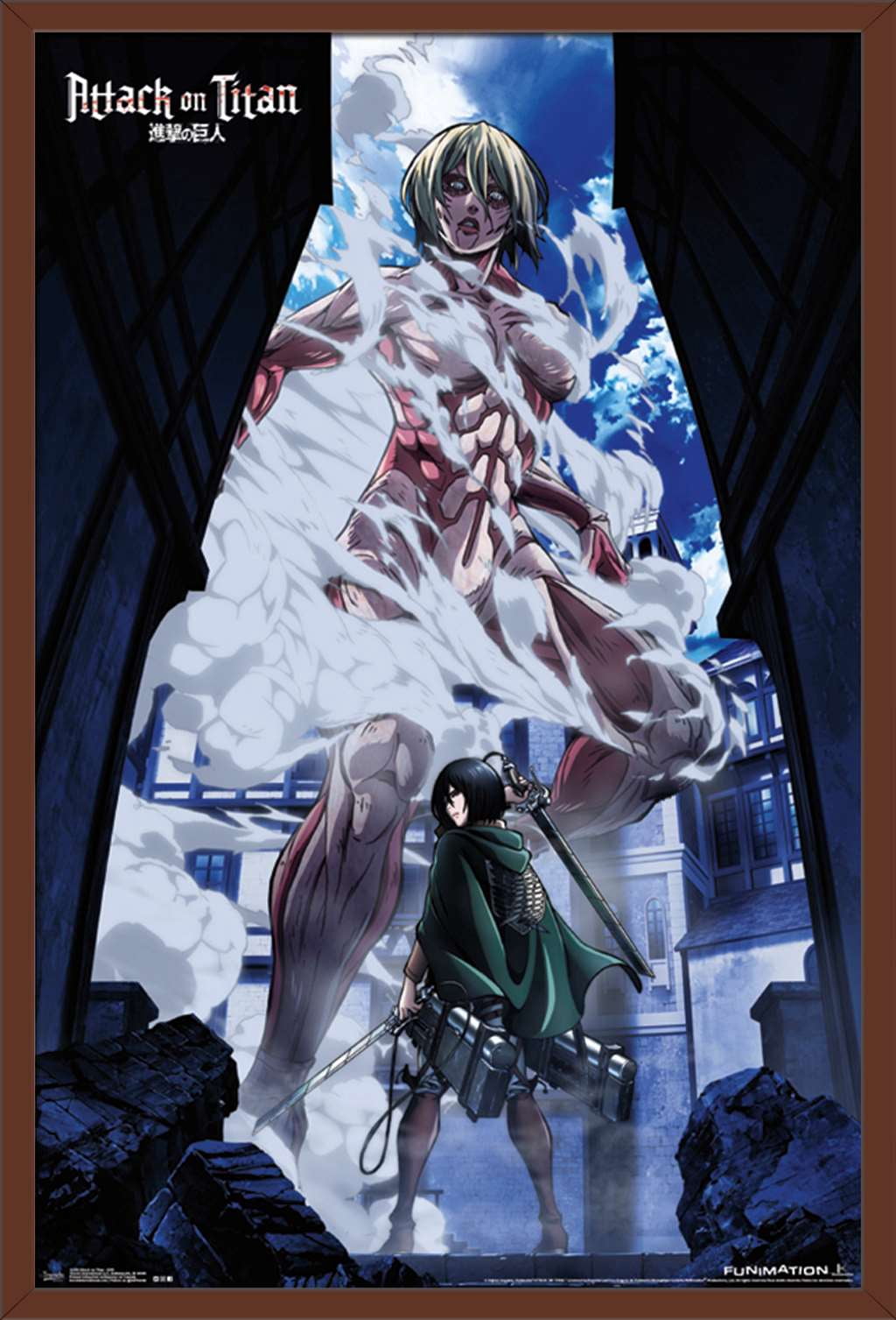 Attack on Titan - DVD Wall Poster, 22.375" x 34", Framed