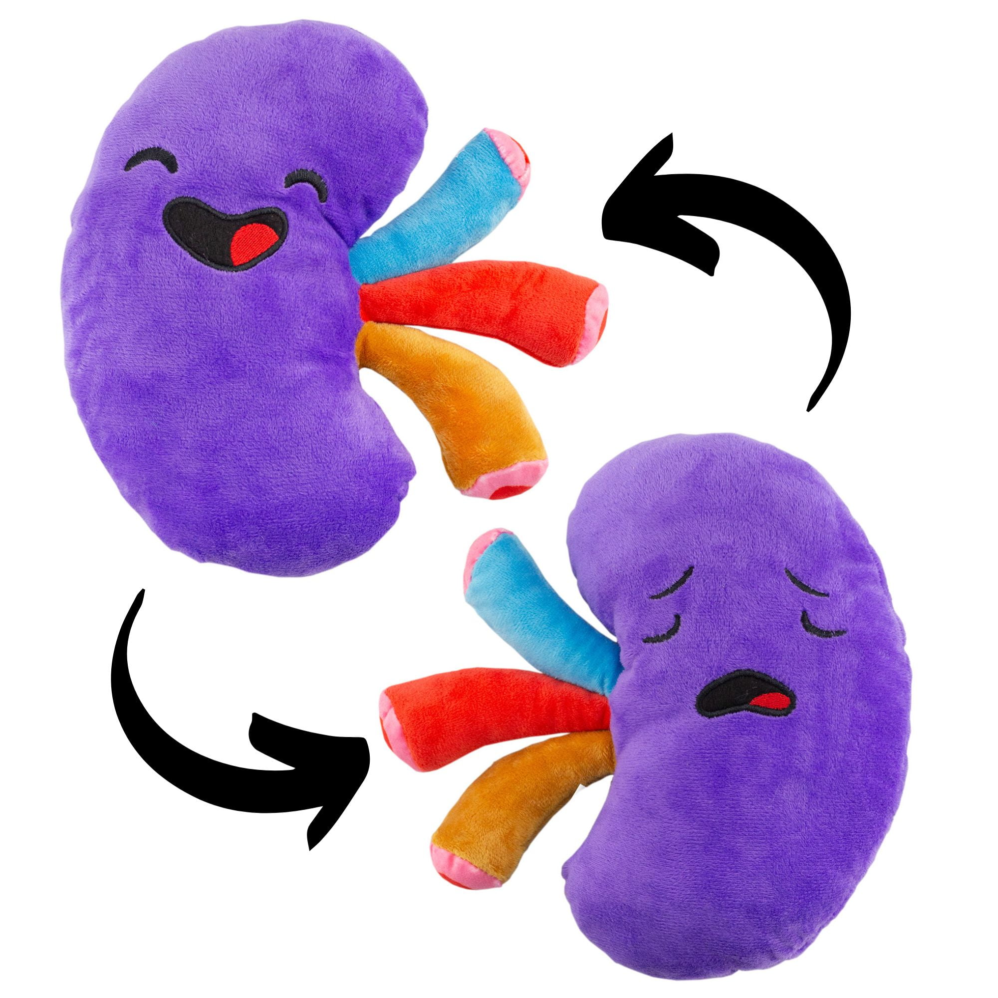 Attatoy Plush Kidney, Stuffed Body Organ Toy for Get Well Gift, Health Education and More