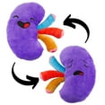 thumbnail image 1 of Attatoy Plush Kidney, Stuffed Body Organ Toy for Get Well Gift, Health Education and More, 1 of 9