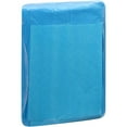 thumbnail image 1 of Attends Dri-Sorb Unisex Incontinence Underpad, Heavy Absorbency, 23" x 24", 10 Count, 1 of 3