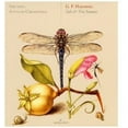 thumbnail image 1 of Attilio Cremonesi - Solo & Trio Sonatas - Music & Performance - CD, 1 of 1