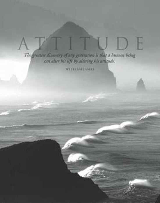 Attitude Canvas Art - Dennis Frates (22 x 28)