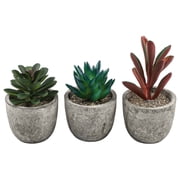 Attractive set of 3 potted artificial succulents for home and office decoration