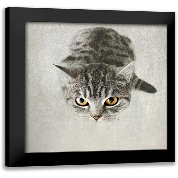 Attura, Nadia 12x12 Black Modern Framed Museum Art Print Titled - Hello Kitty