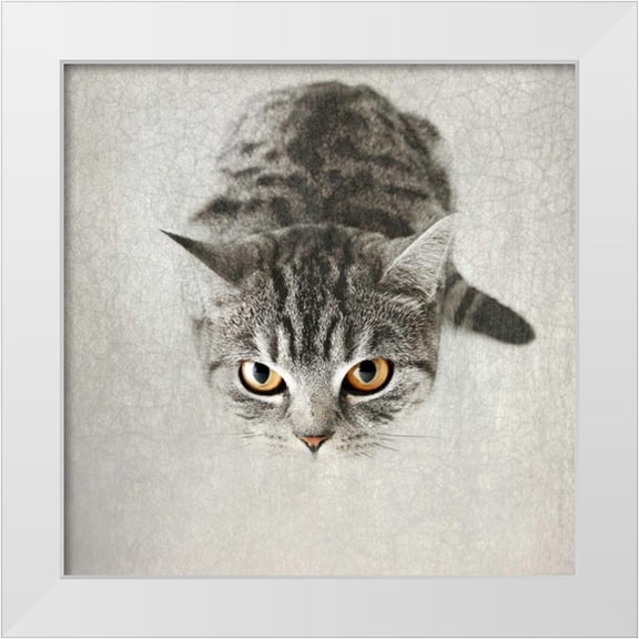 Attura, Nadia 12x12 White Modern Wood Framed Museum Art Print Titled - Hello Kitty