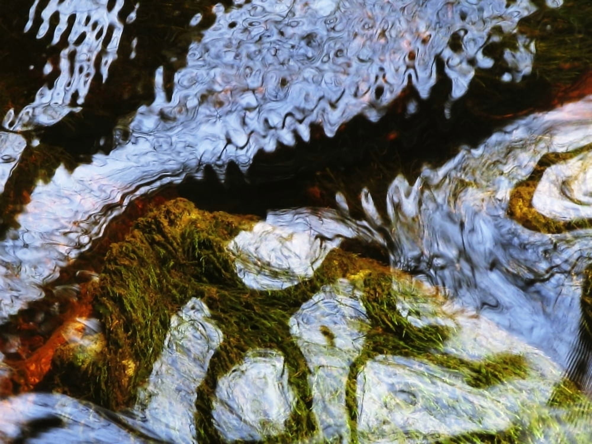 Au Makua Massachusetts Seekonk Caratunk Wildlife Refuge Shapes Made By Ripples And Reflections In Water Canvas Art - Joanne Baldaia Design Pics (16 x 12)
