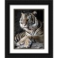 thumbnail image 1 of Aubert, Tananarive 19x24 Black Ornate Wood Framed with Double Matting Museum Art Print Titled - Sumatran Tiger, 1 of 4