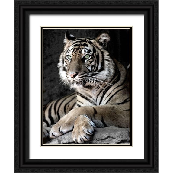 Aubert, Tananarive 19x24 Black Ornate Wood Framed with Double Matting Museum Art Print Titled - Sumatran Tiger