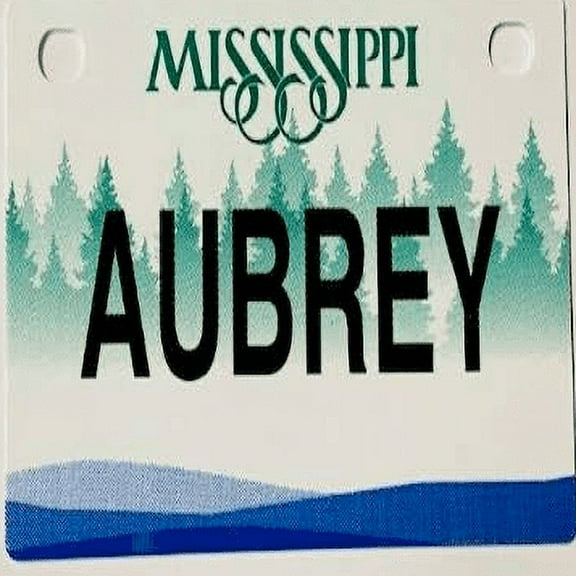 Aubrey Mini Bike Plate Add On Accessory