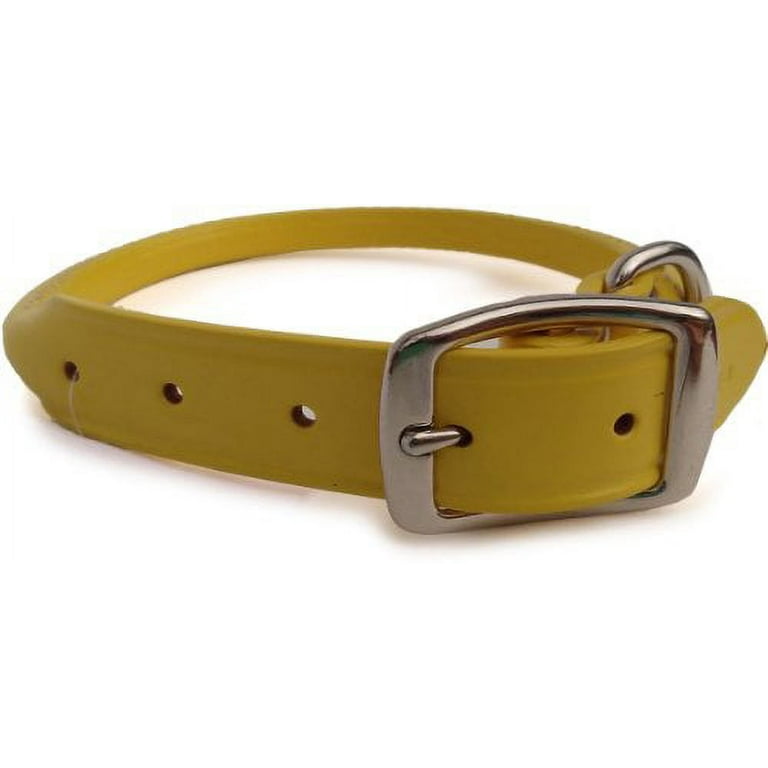 Auburn leather dog collar sales