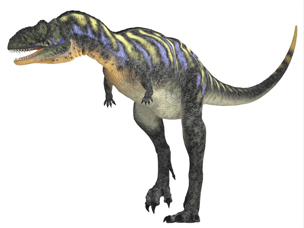 Aucasaurus dinosaur Canvas Art - Corey FordStocktrek Images (17 x 13)