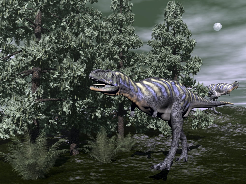 Aucasaurus dinosaur amongst wollemia trees and onychiopsis plants Canvas Art - Elena DuvernayStocktrek Images (17 x 13)