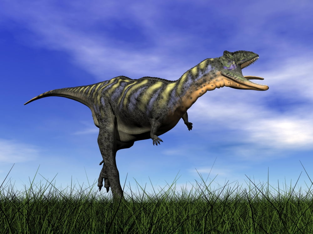 Aucasaurus dinosaur running in the grass Canvas Art - Elena DuvernayStocktrek Images (17 x 13)