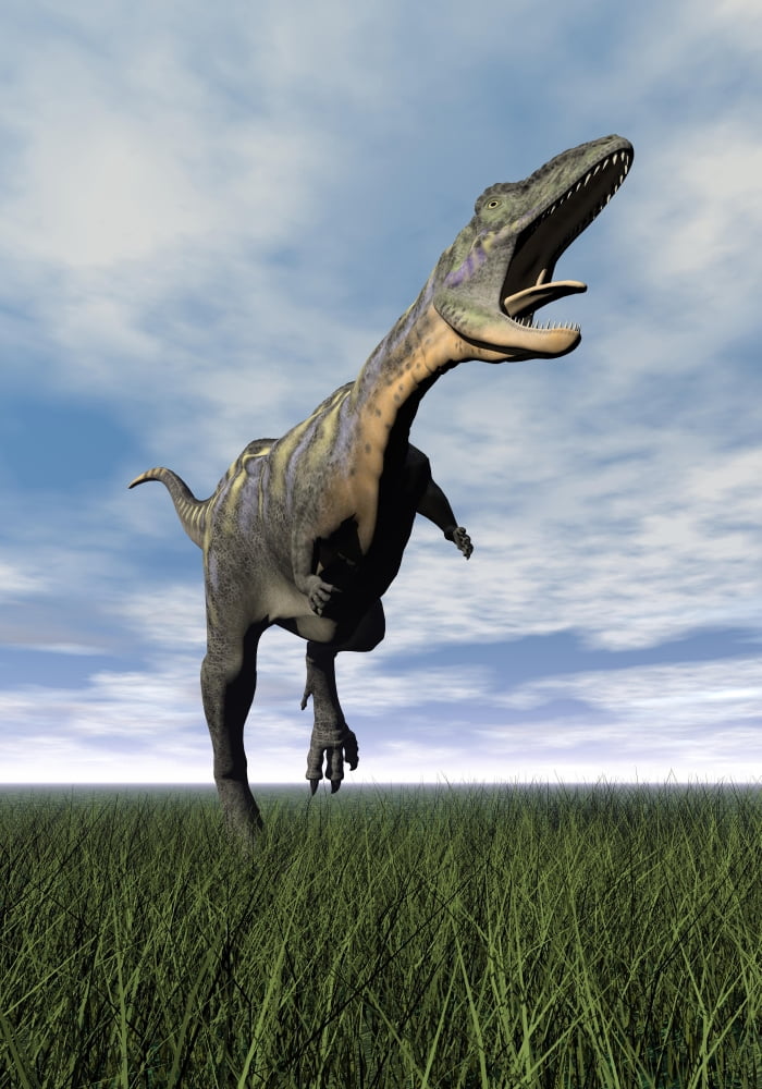 Aucasaurus dinosaur running on the green grass with mouth open Canvas Art - Elena DuvernayStocktrek Images (12 x 17)