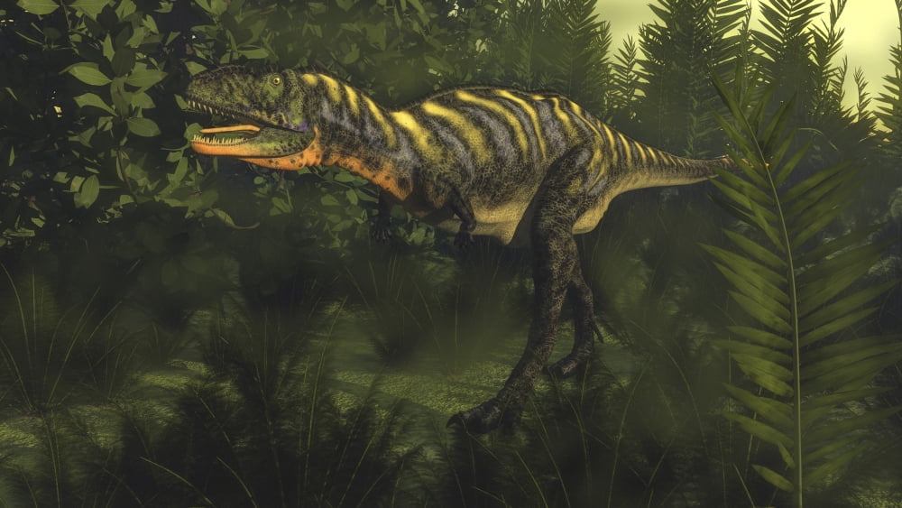 Aucasaurus dinosaur walking amongst lush foliage Canvas Art - Elena DuvernayStocktrek Images (37 x 21)