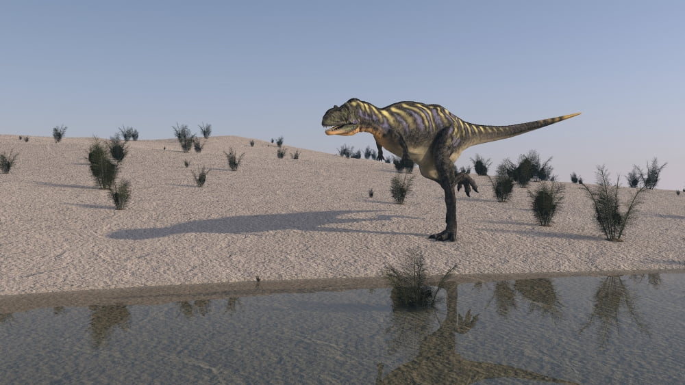 Aucasaurus running along the shore Canvas Art - Kostyantyn IvanyshenStocktrek Images (38 x 22)