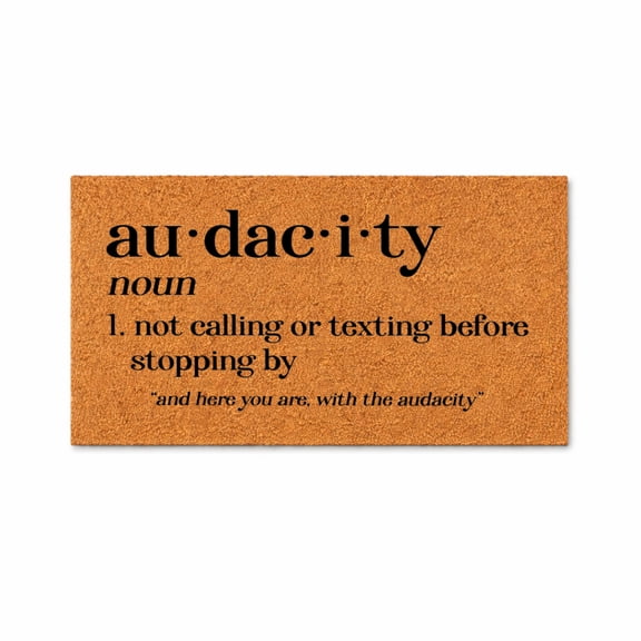 Audacity Doormat, Not Calling Or Texting Before Stopping By Quote, Funny Front Door Welcome Mat, Housewarming Gift 1680 (24x48 inches) 1680