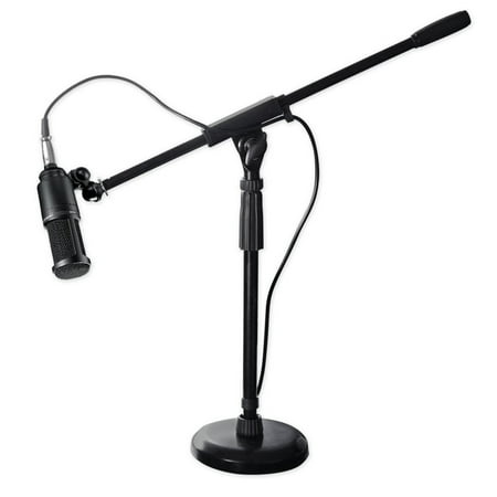Audio Technica AT2041SP AT2020+AT2021 Studio Condenser Microphones+Mic Stand