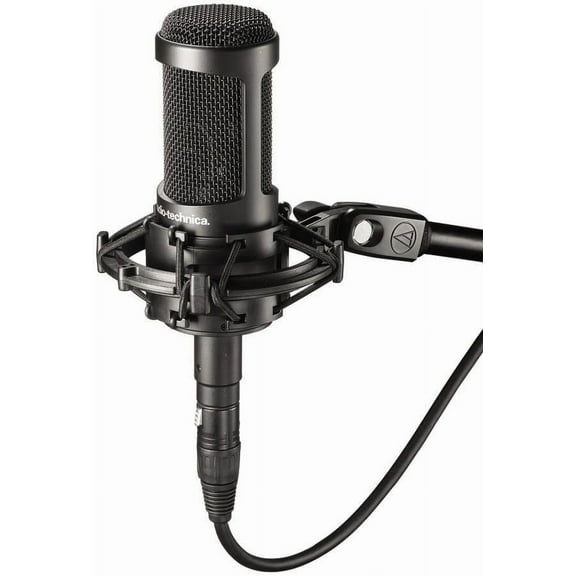 Audio-Technica AT2050 Multi-pattern Condenser Microphone