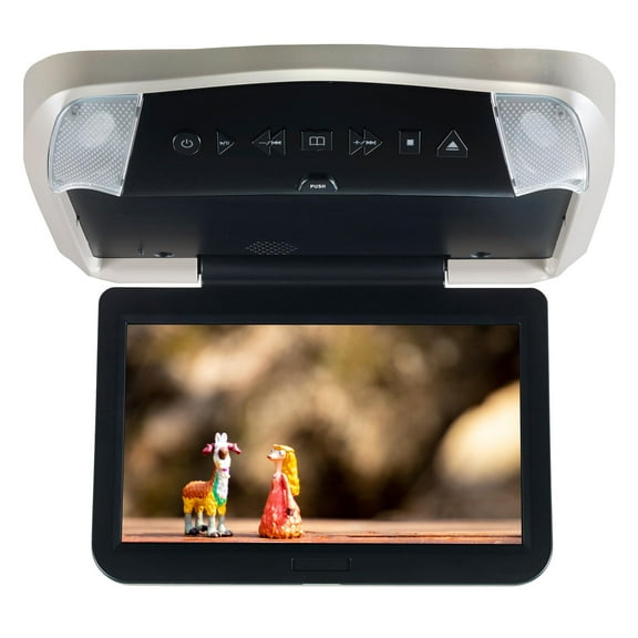 Audiovox VODP10 Overhead Monitors with 2 Wireless Headphones, DVD Players with Three Snap-on Bezels in Black, Shale and Pewter