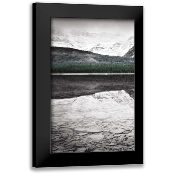 Audit, Lisa 10x14 Black Modern Framed Museum Art Print Titled - Waterfowl Lake Panel I BW with Color