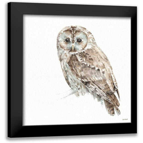 Audit, Lisa 12x12 Black Modern Framed Museum Art Print Titled - Forest Friends IX