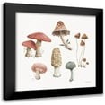 thumbnail image 1 of Audit, Lisa 12x12 Black Modern Framed Museum Art Print Titled - Mushroom Medley 03, 1 of 5