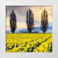 thumbnail image 1 of Audit, Lisa 12x12 White Modern Wood Framed Museum Art Print Titled - Skagit Valley Daffodils II, 1 of 4