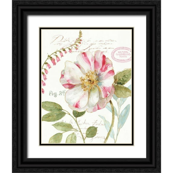 Audit, Lisa 12x14 Black Ornate Wood Framed with Double Matting Museum Art Print Titled - Rainbow Seeds Botanical II