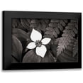 thumbnail image 1 of Audit, Lisa 14x11 Black Modern Framed Museum Art Print Titled - Bunchberry and Ferns I BW, 1 of 5