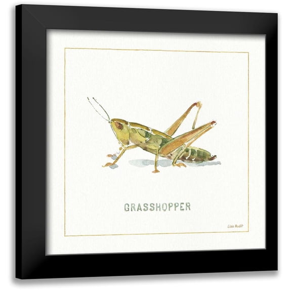Audit, Lisa 15x15 Black Modern Framed Museum Art Print Titled - My Greenhouse Grasshopper