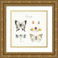 thumbnail image 1 of Audit, Lisa 15x15 Gold Ornate Wood Framed with Double Matting Museum Art Print Titled - A Country Weekend XII Bright, 1 of 4