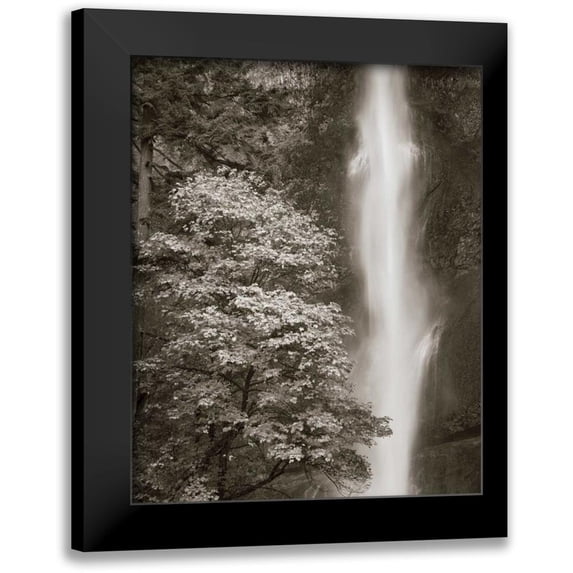 Audit, Lisa 15x18 Black Modern Framed Museum Art Print Titled - Multnomah Falls