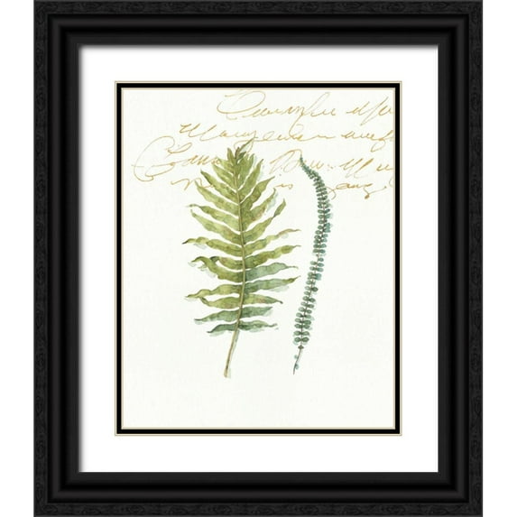 Audit, Lisa 15x18 Black Ornate Wood Framed with Double Matting Museum Art Print Titled - My Greenhouse Fern I