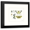 thumbnail image 1 of Audit, Lisa 20x20 Black Modern Framed Museum Art Print Titled - Green Fields XII, 1 of 5