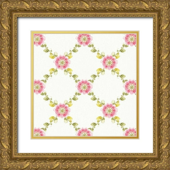 Audit, Lisa 20x20 Gold Ornate Wood Framed with Double Matting Museum Art Print Titled - Rainbow Seeds Pattern VIII
