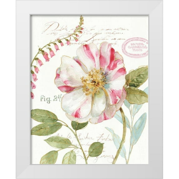 Audit, Lisa 20x24 White Modern Wood Framed Museum Art Print Titled - Rainbow Seeds Botanical II