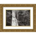 thumbnail image 1 of Audit, Lisa 24x17 Gold Ornate Wood Framed with Double Matting Museum Art Print Titled - Double Falls II, 1 of 4