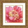 thumbnail image 1 of Audit, Lisa 26x26 Gold Ornate Wood Framed with Double Matting Museum Art Print Titled - Pink Garden V, 1 of 4