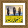 thumbnail image 1 of Audit, Lisa 26x26 Gold Ornate Wood Framed with Double Matting Museum Art Print Titled - Skagit Valley Daffodils II, 1 of 4