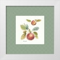 thumbnail image 1 of Audit, Lisa 26x26 White Modern Wood Framed Museum Art Print Titled - Orchard Bloom IV Border, 1 of 4