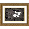 thumbnail image 1 of Audit, Lisa 32x23 Gold Ornate Wood Framed with Double Matting Museum Art Print Titled - Bunchberry and Ferns II BW, 1 of 4