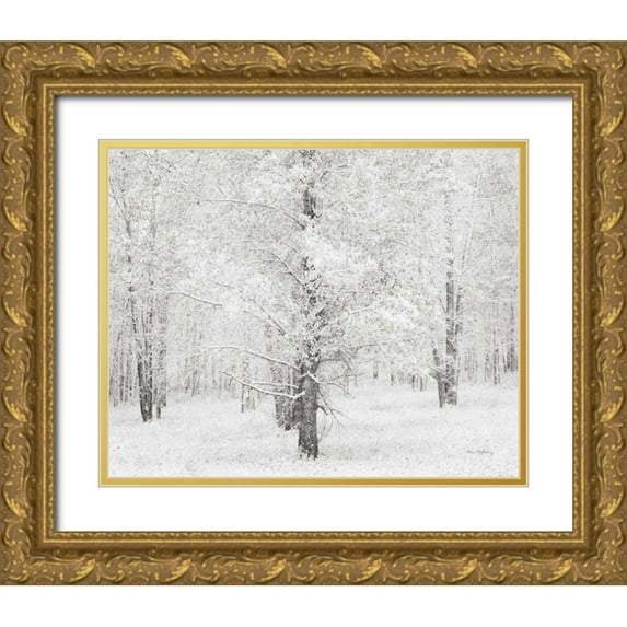 Audit, Lisa 32x26 Gold Ornate Wood Framed with Double Matting Museum Art Print Titled - Snow Covered Cottonwood Trees