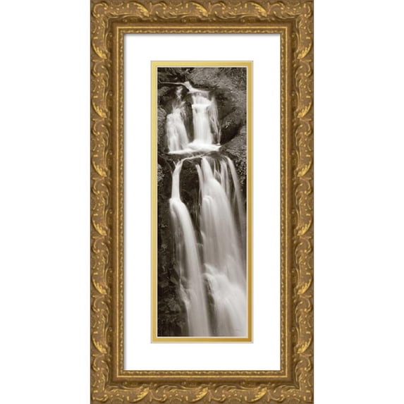 Audit, Lisa 9x18 Gold Ornate Wood Framed with Double Matting Museum Art Print Titled - Kentucky Falls Panel