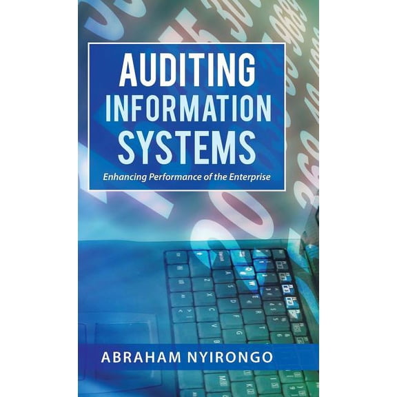 Auditing Information Systems: Enhancing Performance of the Enterprise (Hardcover)