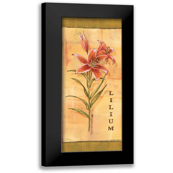Audrey, Charlene 8x14 Black Modern Framed Museum Art Print Titled - Les Lys III