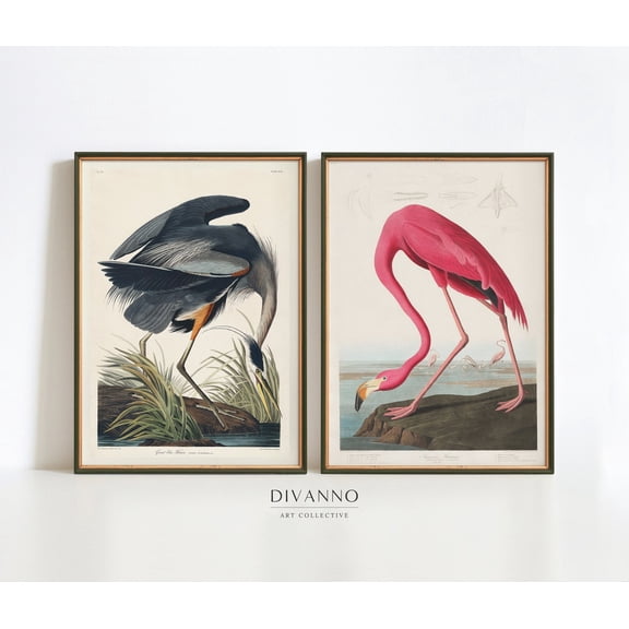 Audubon Bird Prints Set Flamingo Heron Wildlife Art Poster Set 2