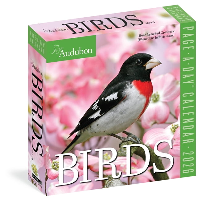 Audubon Birds Page-A-Day(r) Calendar 2026: The World's Favorite Bird Calendar, (Paperback)