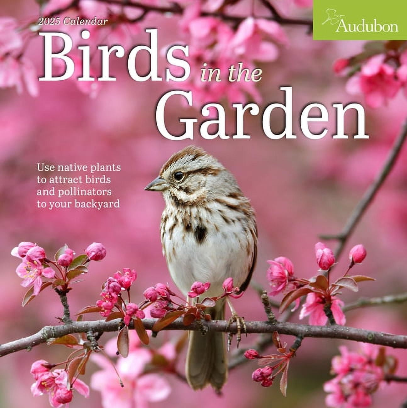 Audubon Birds in the Garden Wall Calendar 2025 Use Native Plants to