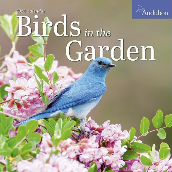 Audubon Birds in the Garden Wall Calendar 2026: Use Native Plants to Attract Birds and Pollinators to Your Backyard, (Paperback)